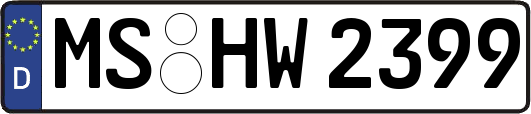 MS-HW2399