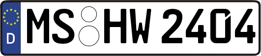 MS-HW2404