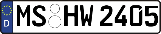 MS-HW2405