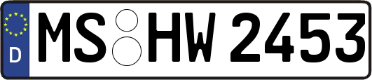 MS-HW2453