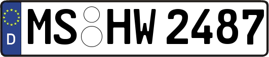 MS-HW2487