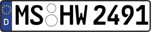 MS-HW2491