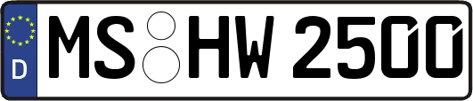 MS-HW2500