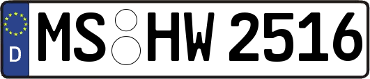 MS-HW2516