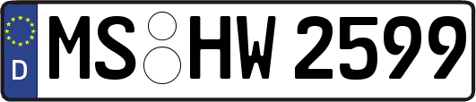 MS-HW2599