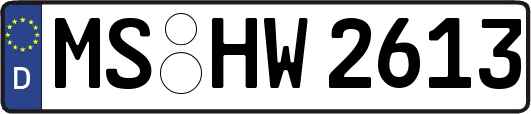 MS-HW2613