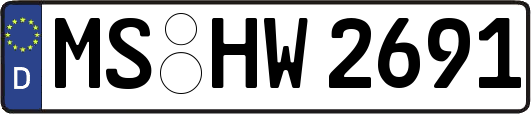 MS-HW2691