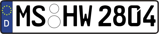MS-HW2804