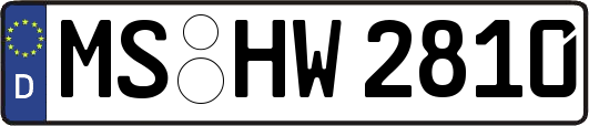 MS-HW2810