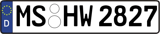 MS-HW2827