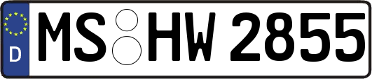 MS-HW2855