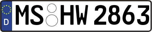 MS-HW2863