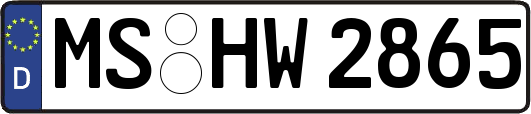 MS-HW2865