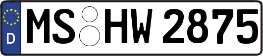 MS-HW2875