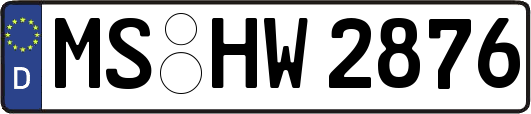 MS-HW2876