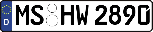 MS-HW2890