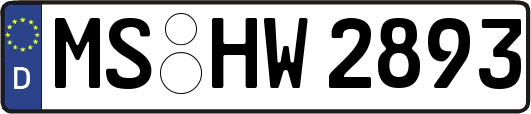 MS-HW2893