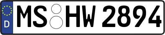 MS-HW2894