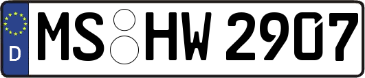 MS-HW2907