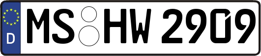 MS-HW2909