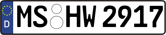 MS-HW2917