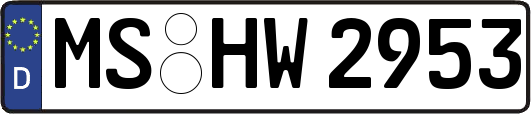 MS-HW2953