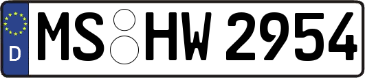 MS-HW2954