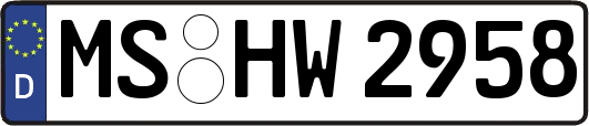 MS-HW2958