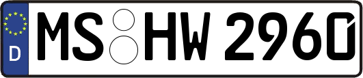 MS-HW2960