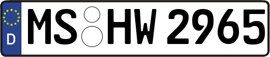MS-HW2965