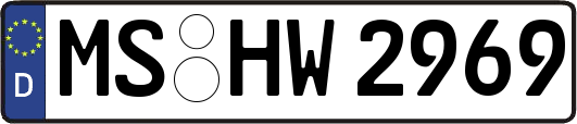 MS-HW2969