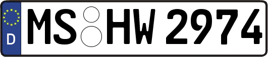MS-HW2974