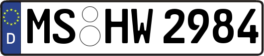 MS-HW2984
