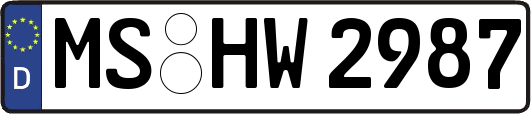 MS-HW2987
