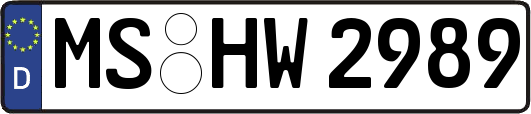 MS-HW2989
