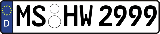 MS-HW2999