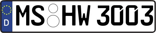 MS-HW3003