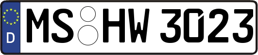 MS-HW3023