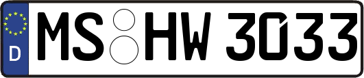 MS-HW3033
