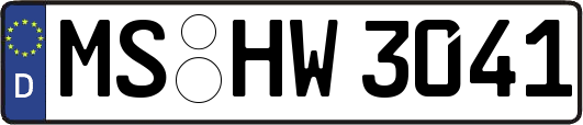 MS-HW3041