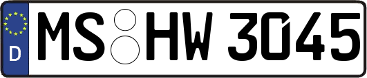 MS-HW3045