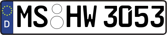 MS-HW3053