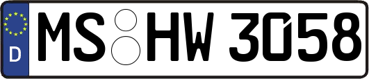 MS-HW3058