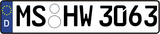 MS-HW3063