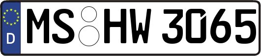 MS-HW3065