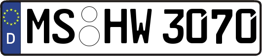 MS-HW3070