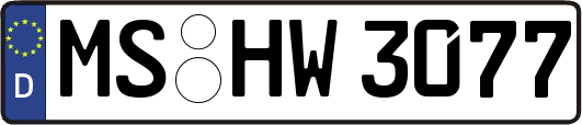 MS-HW3077