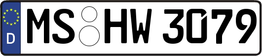 MS-HW3079