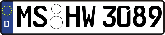MS-HW3089