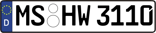 MS-HW3110